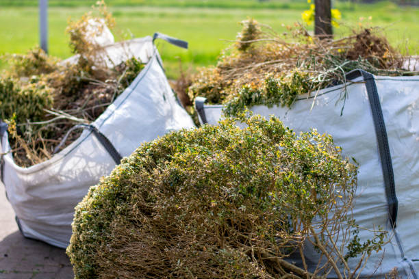 Best Basement Cleanout Services  in Dunthpe, OR
